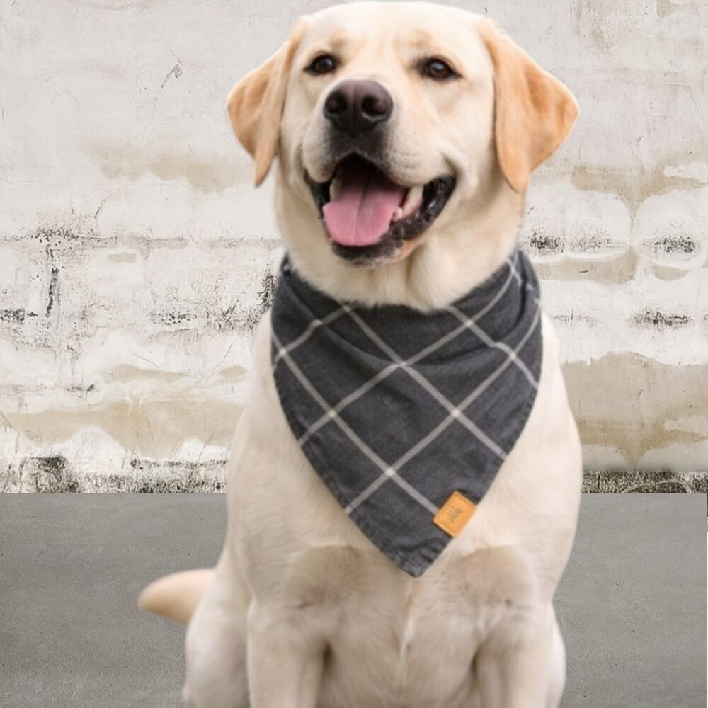 The Foggy Dog Black and White Striped Dog Bandana - Size Large